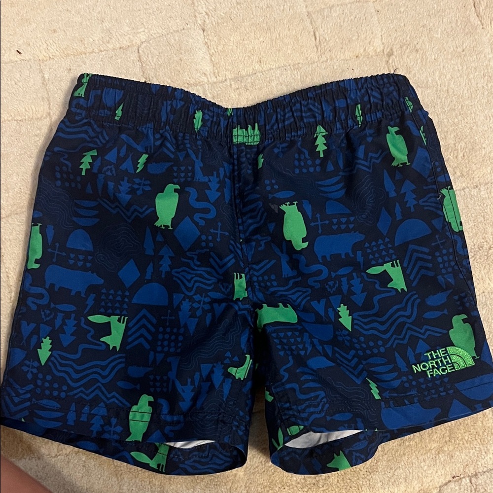 The North Face Navy and Lime Graphic Shorts